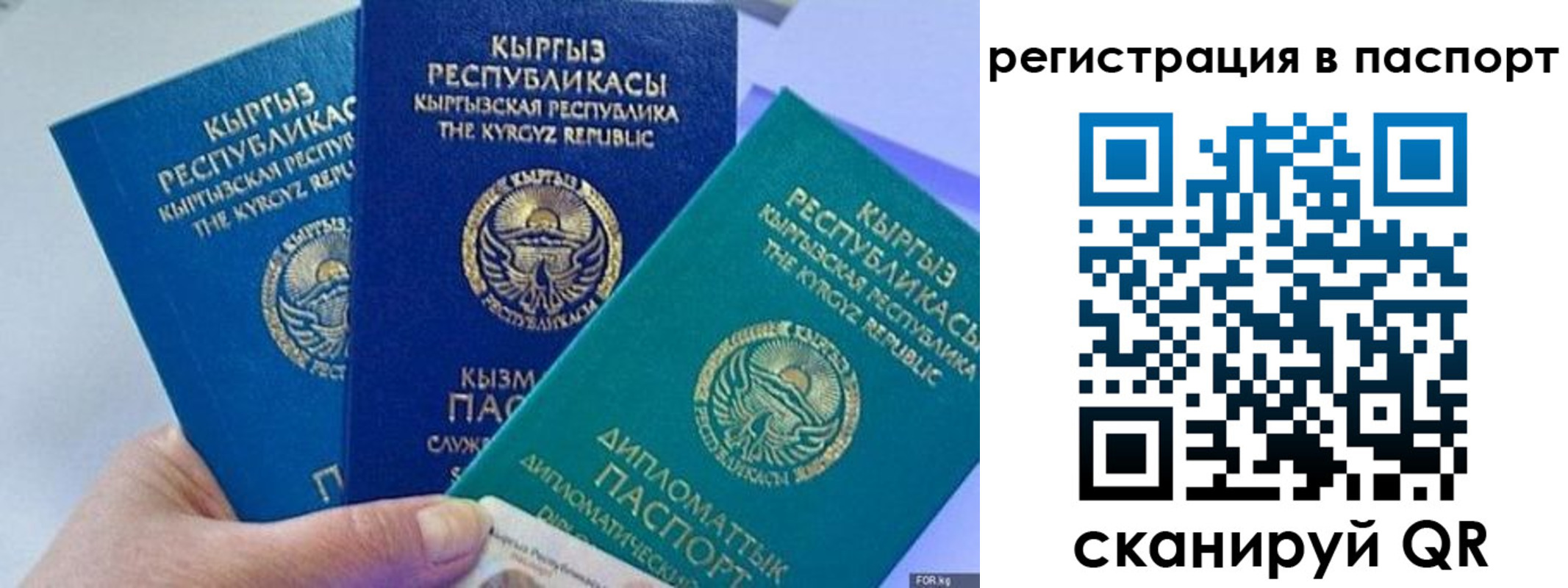 прописка 2025 в Боготоле